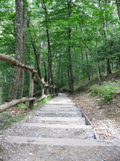 The steepst steps after the climb.